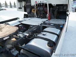 RENAULT T 520 / RETARDER / SKÓRY / LIMITED / TEAM ALPINE