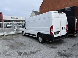 FIAT Ducato Maxi