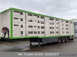 MENKE-JANZEN Menke 3 Stock Hubdach Liftachse  Vollalu Lüfter