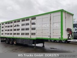 MENKE-JANZEN Menke 3 Stock Hubdach Liftachse  Vollalu Lüfter