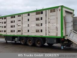 MENKE-JANZEN Menke 3 Stock Hubdach Liftachse  Vollalu Lüfter