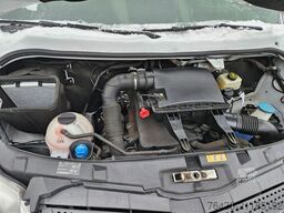 MERCEDES-BENZ Sprinter 316 CDI THERMO KING V300 0°FRISCHDIENST