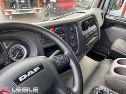 DAF LF 290*LBW-Bär*Code XL*