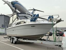SEA RAY 245DA HRIZON DREAM INKL. ANHÄNGER PILOB