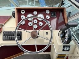 SEA RAY 245DA HRIZON DREAM INKL. ANHÄNGER PILOB