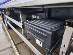 PACTON TBZ 232
