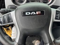 DAF XF 460 FT 4x2 ZGM Euro 6 Bj 2015
