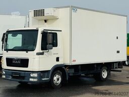 MAN TGL 8.220 / SEITENTÜRE / THERMOKING V 600 max