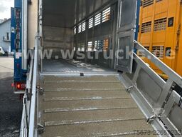 VOLVO FH 500 Globe XL Menke 3 Stock Hubdach Komplett