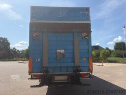 SCANIA P230