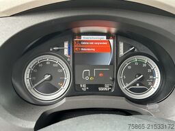 DAF LF 210 FA / Turbo Problems / 502 dkm / Curtains...