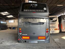 MAN Stellae RR2