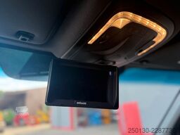 MERCEDES-BENZ SODIAK HORSE 2 Pferde Luxus Sprinter