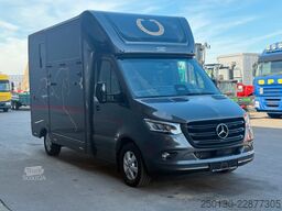 MERCEDES-BENZ SODIAK HORSE 2 Pferde Luxus Sprinter