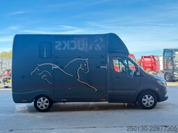 MERCEDES-BENZ SODIAK HORSE 2 Pferde Luxus Sprinter