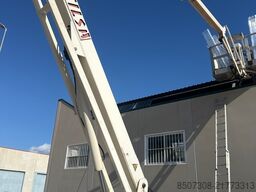 Matilsa Parma 17