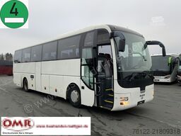 MAN R 07 Lion´s Coach