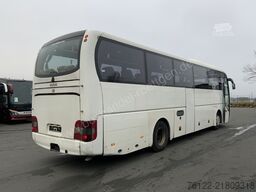 MAN R 07 Lion´s Coach