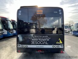Solaris Urbino