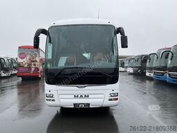 MAN R 09 Lion´s Coach