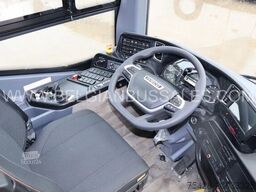 Iveco Evadys 12m / Rear door / 3-point seat belts / N...