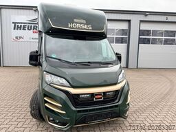 FIAT Ducato EXKLUSIVE Hengstmodel