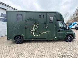 FIAT Ducato EXKLUSIVE Hengstmodel
