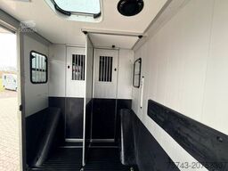 FIAT Ducato  EXKLUSIVE Hengstmodel