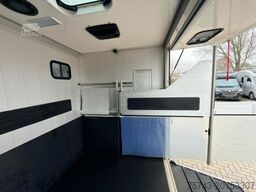 FIAT Ducato EXKLUSIVE Hengstmodel