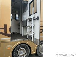 MAN TGS 26480 5 Pferde und Wohnung