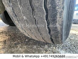 KÖGEL SKM24 Stahl Thermo *24m³/E-Verdeck/Smartboard