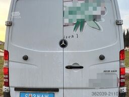 MERCEDES-BENZ Sprinter Kühlkasten 313 CDI Hoch Mittel