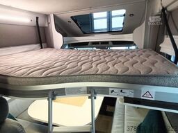 BENIMAR Tessoro T481
