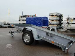 TEMARED MULTI TR 3318 C / Multitransporter Sonderpreis