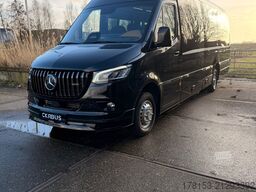 Mercedes Sprinter 519 CDI LuxuryLine Minibus