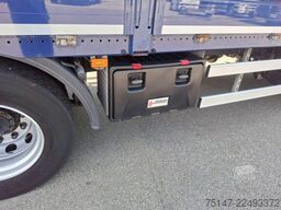 SCANIA P 250 DB4x2MNB L-Haus 1 Liege Navi Ladebordwand
