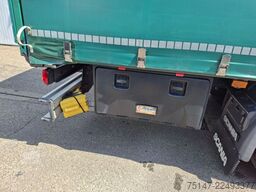 SCANIA P 250 4x2 L-Haus 1 Liege Tautliner Edscha