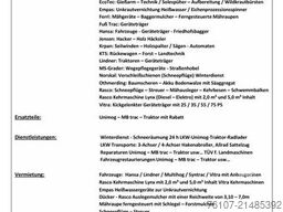 MAN MAN TGS 18.520 Allrad Hydro Streuer Schneepflug