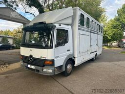 Mercedes-Benz 817 2-4 Pferde