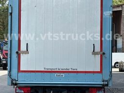 MAN TGM 15.290 1 Stock Köstner Viehaufbau