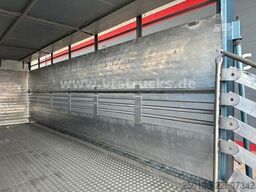 MAN TGM 15.290 1 Stock Köstner Viehaufbau