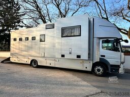 Mercedes-Benz Atego 1530 5 Pferde Popout Wohnmobilzulassung