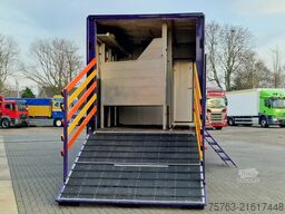 MAN TGA 18.360 4x2 - Horse truck +  full camper - 4...