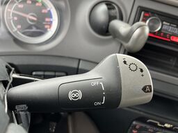 DAF CF 260 FA / Carrier Koeler - 30 gr / Chereau Fr...