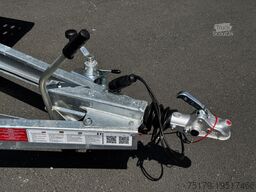 Other Autotransporter