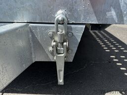 Other Autotransporter