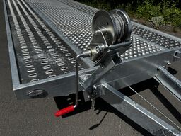Other Autotransporter