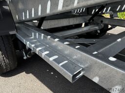 Other Autotransporter