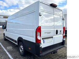 FIAT Ducato L5H2 Maxi Kasten Klima CAM AHK