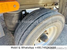 FTEC Autotransport Tandem *Rampe/Seilwinde